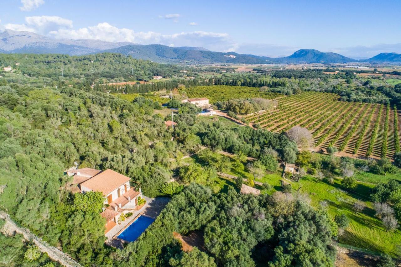 Country house Ideal Mallorca - Es Puchet